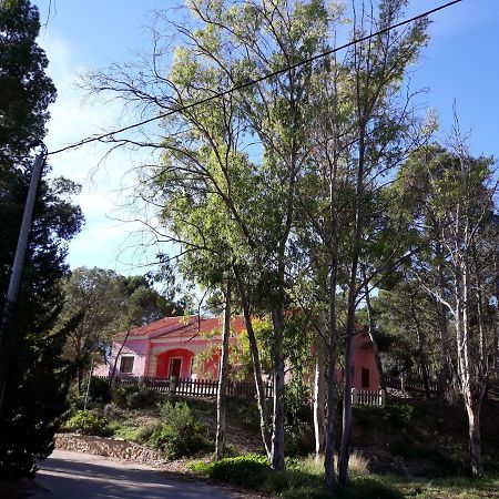 Casas Rurales "Paraje El Cajal" Ojós Kültér fotó