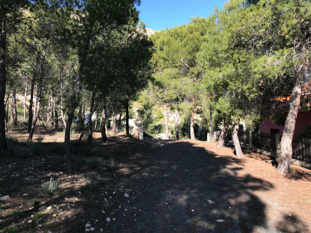 Casas Rurales "Paraje El Cajal" Ojós Kültér fotó